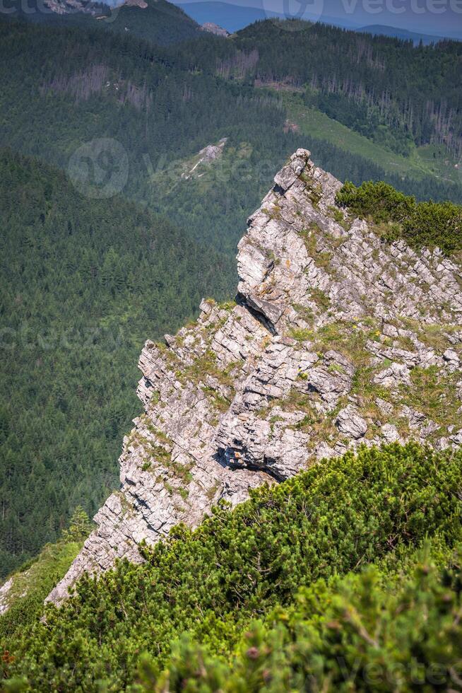 uitzicht op Tatra-gebergte vanaf wandelpad. Polen. Europa. foto