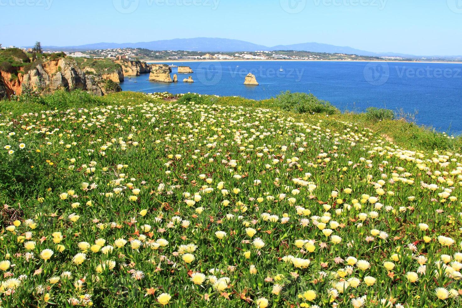 ponta de piedade in lagos, algarve kust in portugal foto