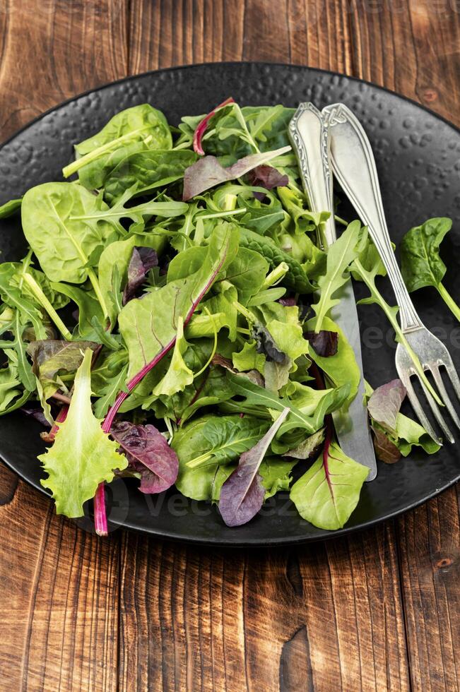 veganistisch groen salade. foto