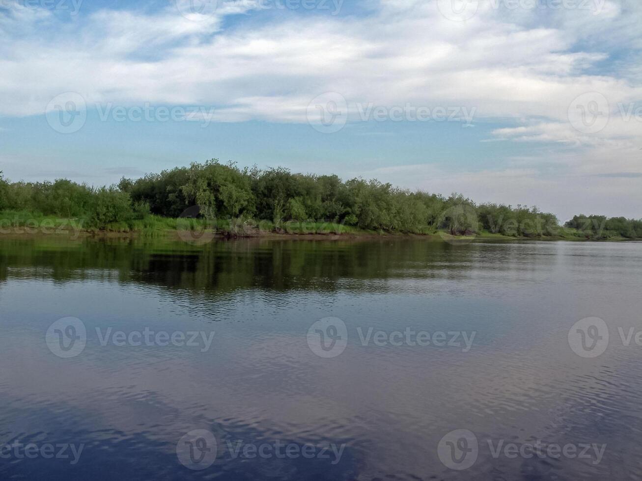 rivier- landschap. noordelijk rendier in zomer Woud. de lucht, gr foto