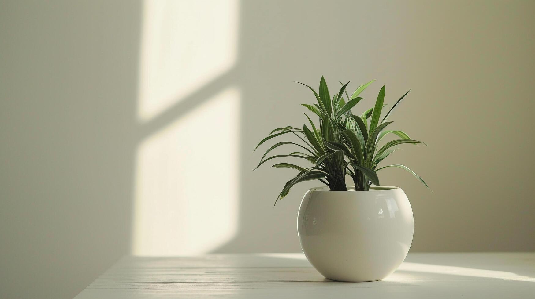 ai gegenereerd een wit huis fabriek pot zittend Aan een houten tafel foto