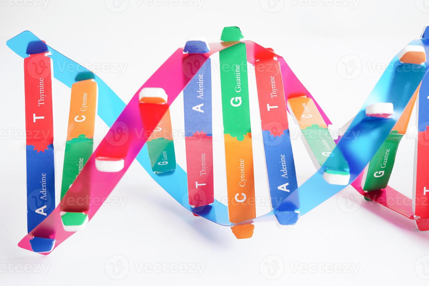 dna molecuul spiraal structuur model- geïsoleerd Aan wit achtergrond, chromosoom en gen chemisch wetenschap biologie. foto
