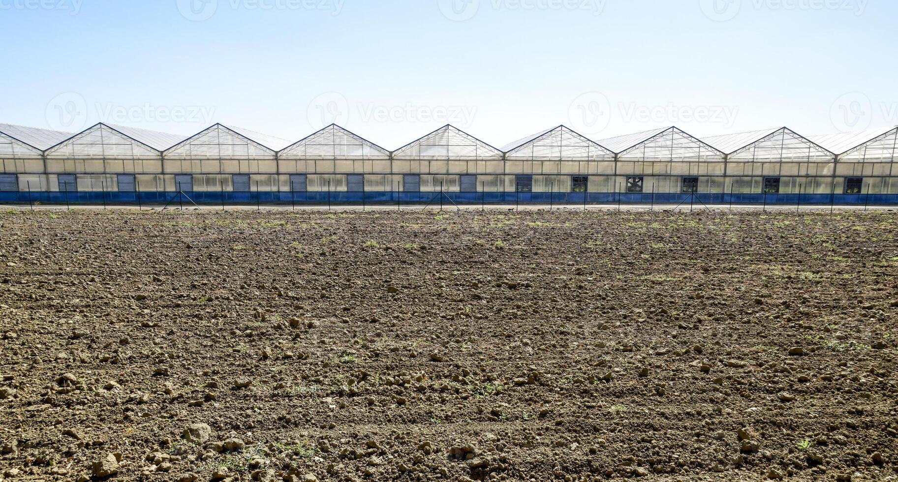 polycarbonaat kassen. kas complex. kassen voor groeit groenten onder de Gesloten grond foto