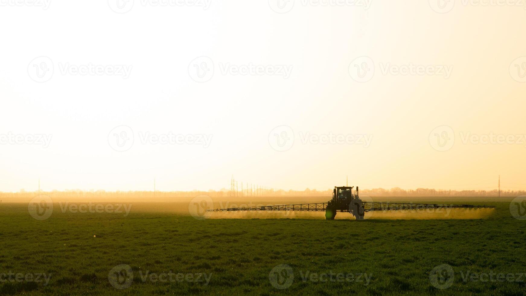 trekker Aan de zonsondergang achtergrond. trekker met hoog wielen is maken kunstmest Aan jong tarwe. foto