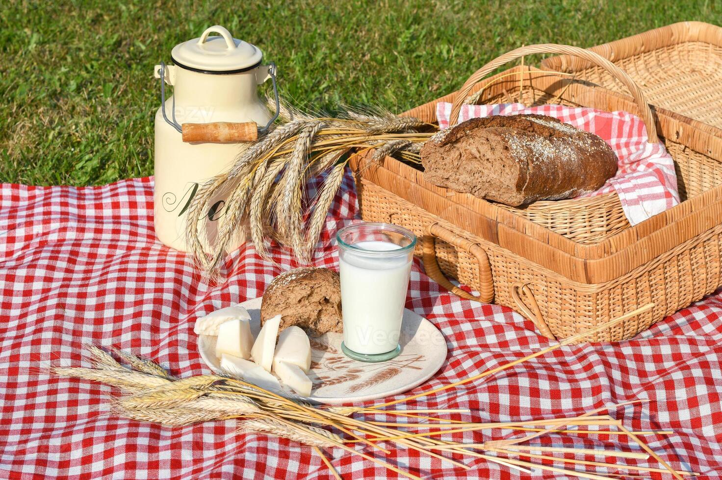 picknick met vers brood en melk Aan een rood geruit sprei Aan een groen gazon foto