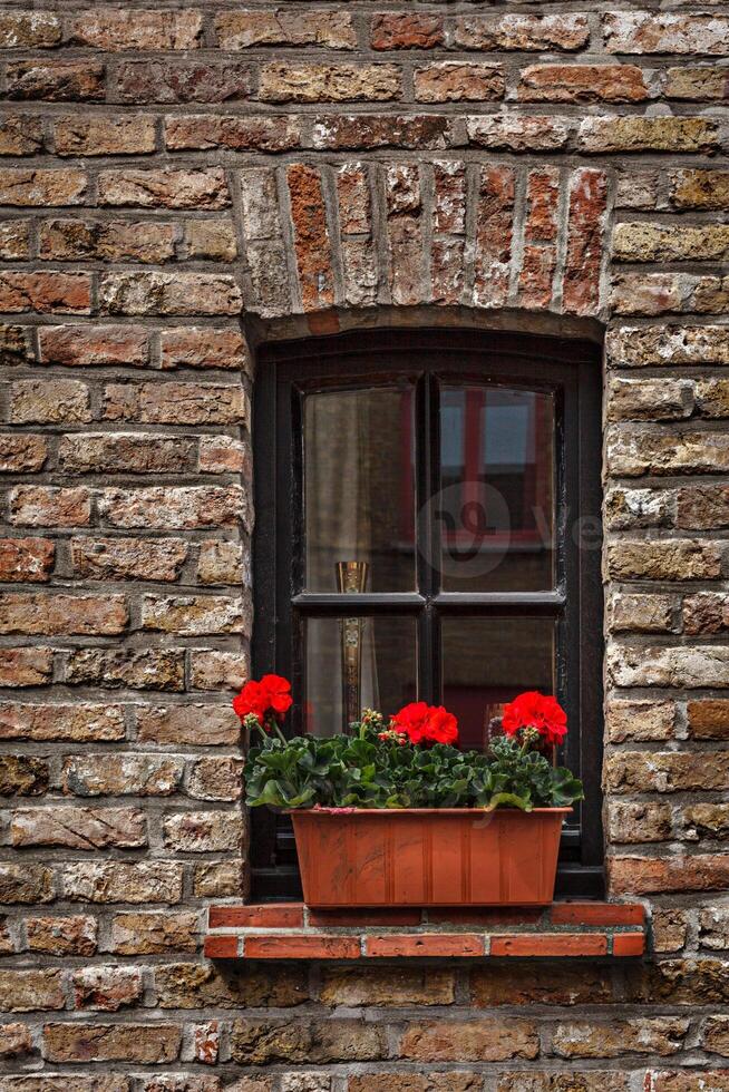 venster met bloemen in Europa. Brugge brugge, belgie foto