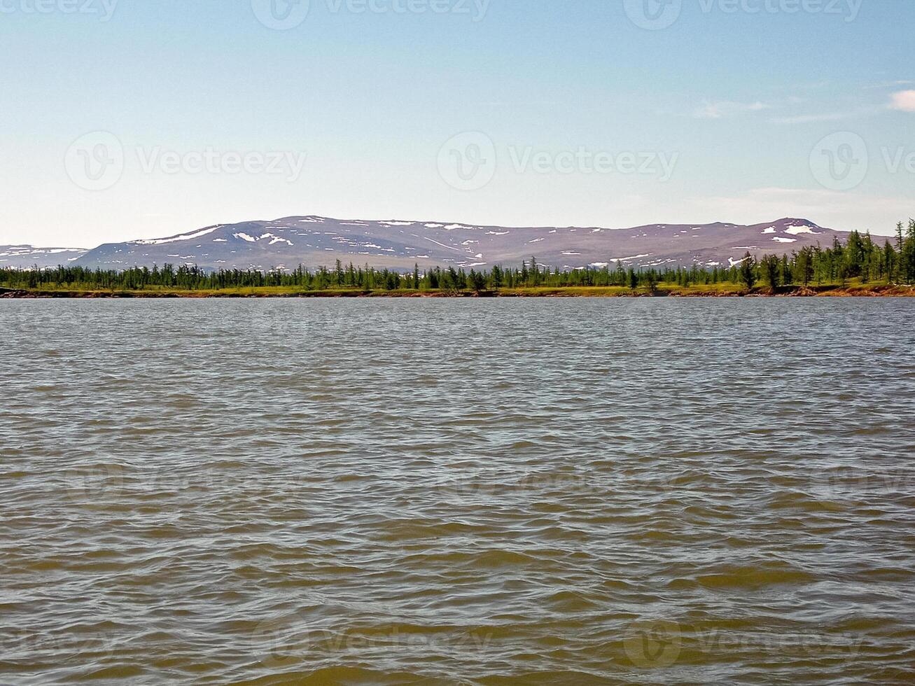 rivier- landschap. noordelijk rendier in zomer Woud. de lucht, gr foto