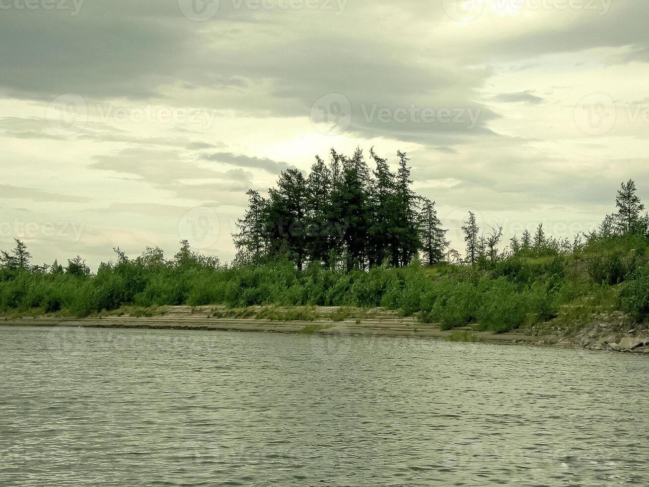 rivier- landschap. noordelijk rendier in zomer Woud. de lucht, gr foto