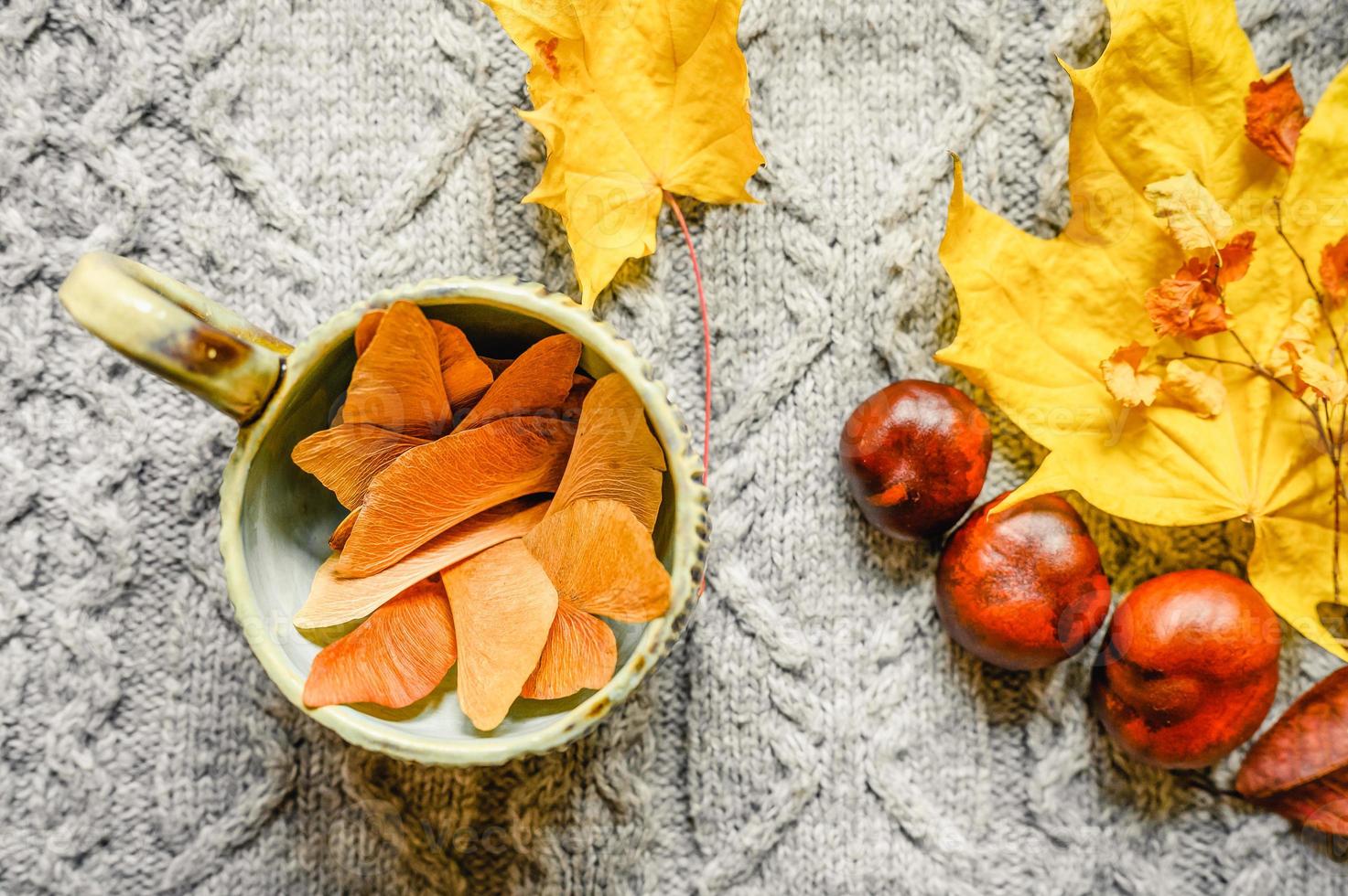 herfst gele en rode esdoorn bladeren op de achtergrond van grijze gezellige gebreide trui foto