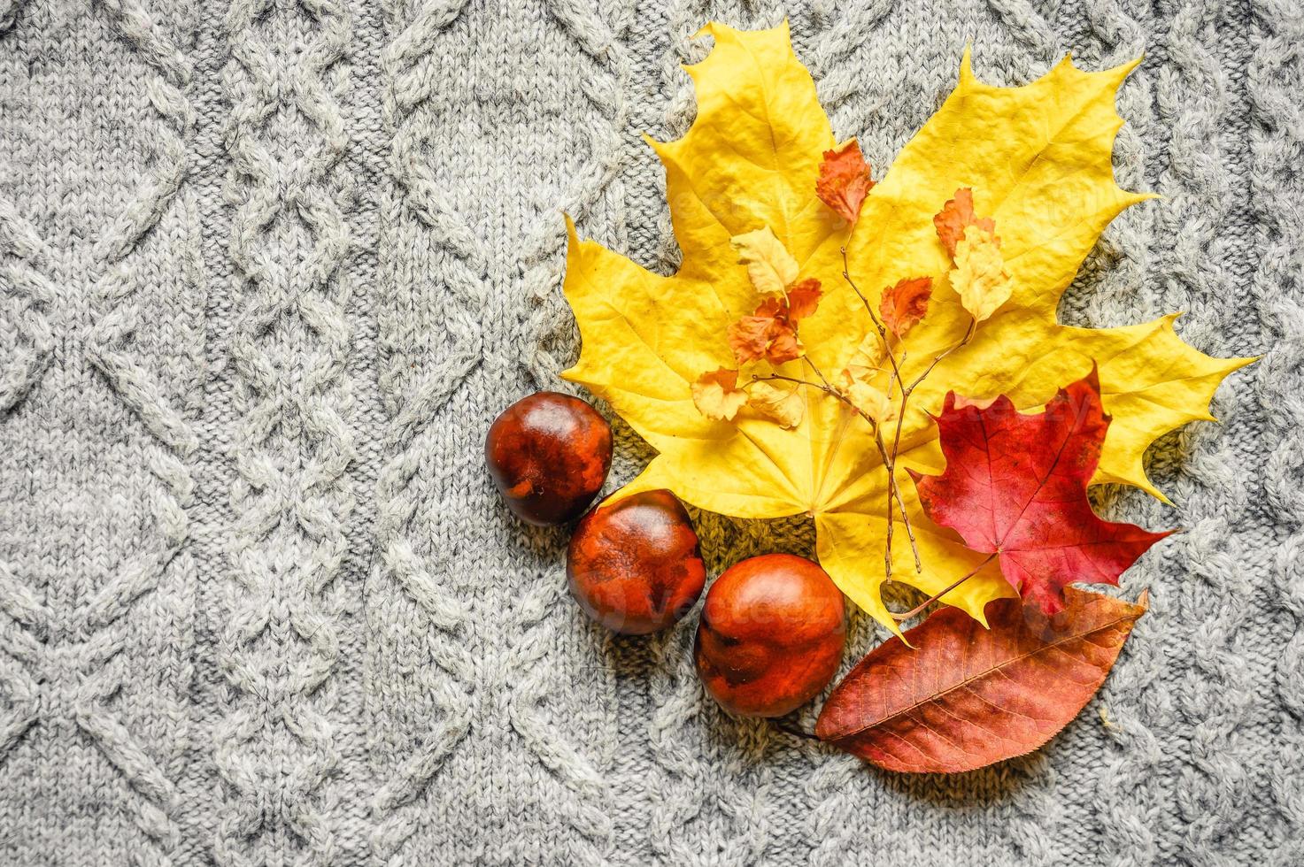 herfst gele en rode esdoorn bladeren op de achtergrond van grijze gezellige gebreide trui foto