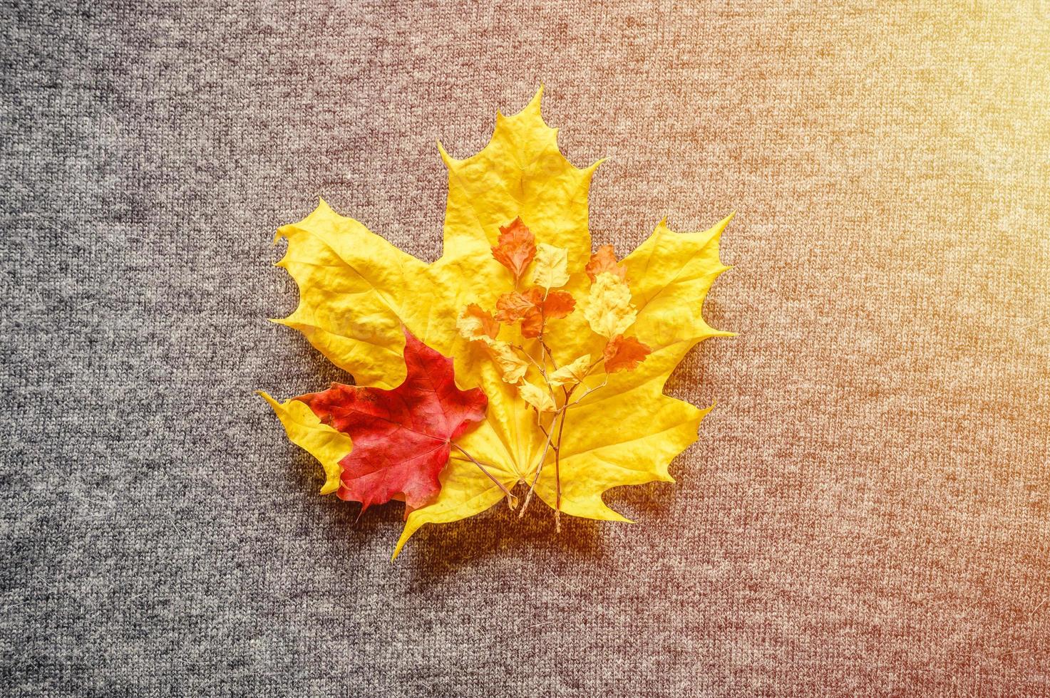 herfst gele en rode esdoorn bladeren foto