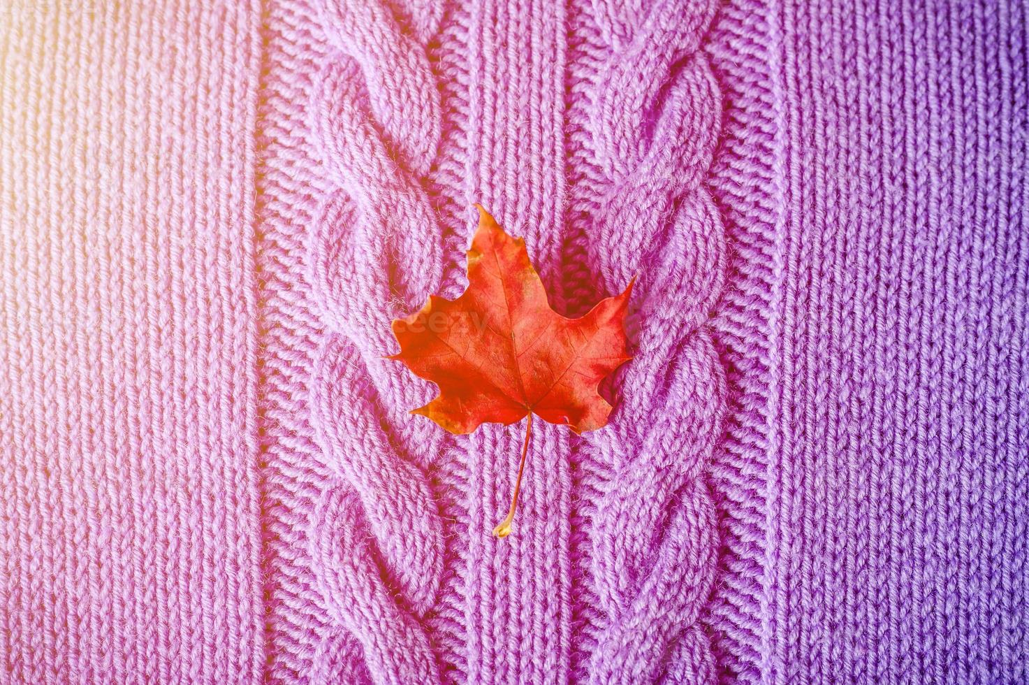 klein felrood droog herfstesdoornblad op paarse gebreide textuurstof of trui met staartjes foto