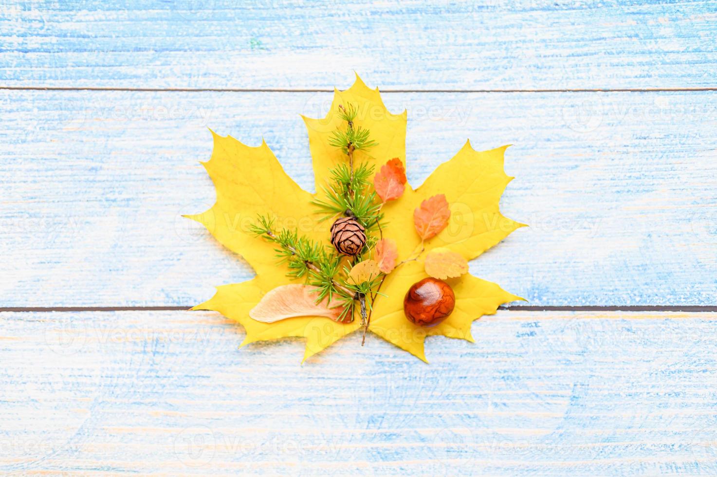 gouden herfst herfstbladeren plat liggend foto