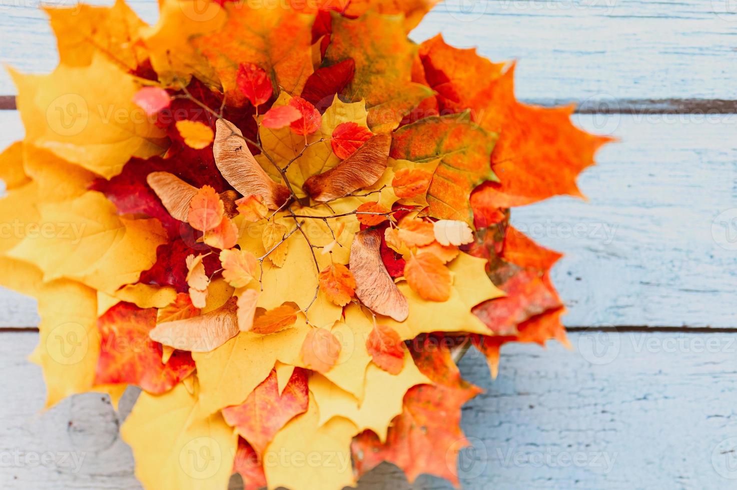 gouden herfst herfstbladeren plat liggend foto