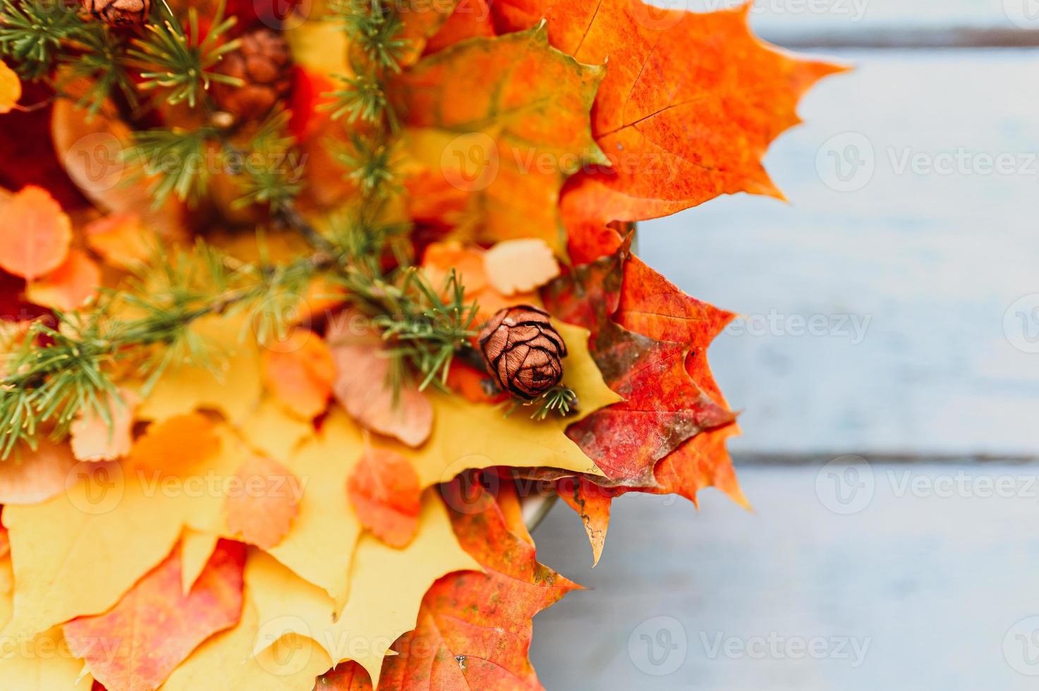 gouden herfst herfstbladeren plat liggend foto