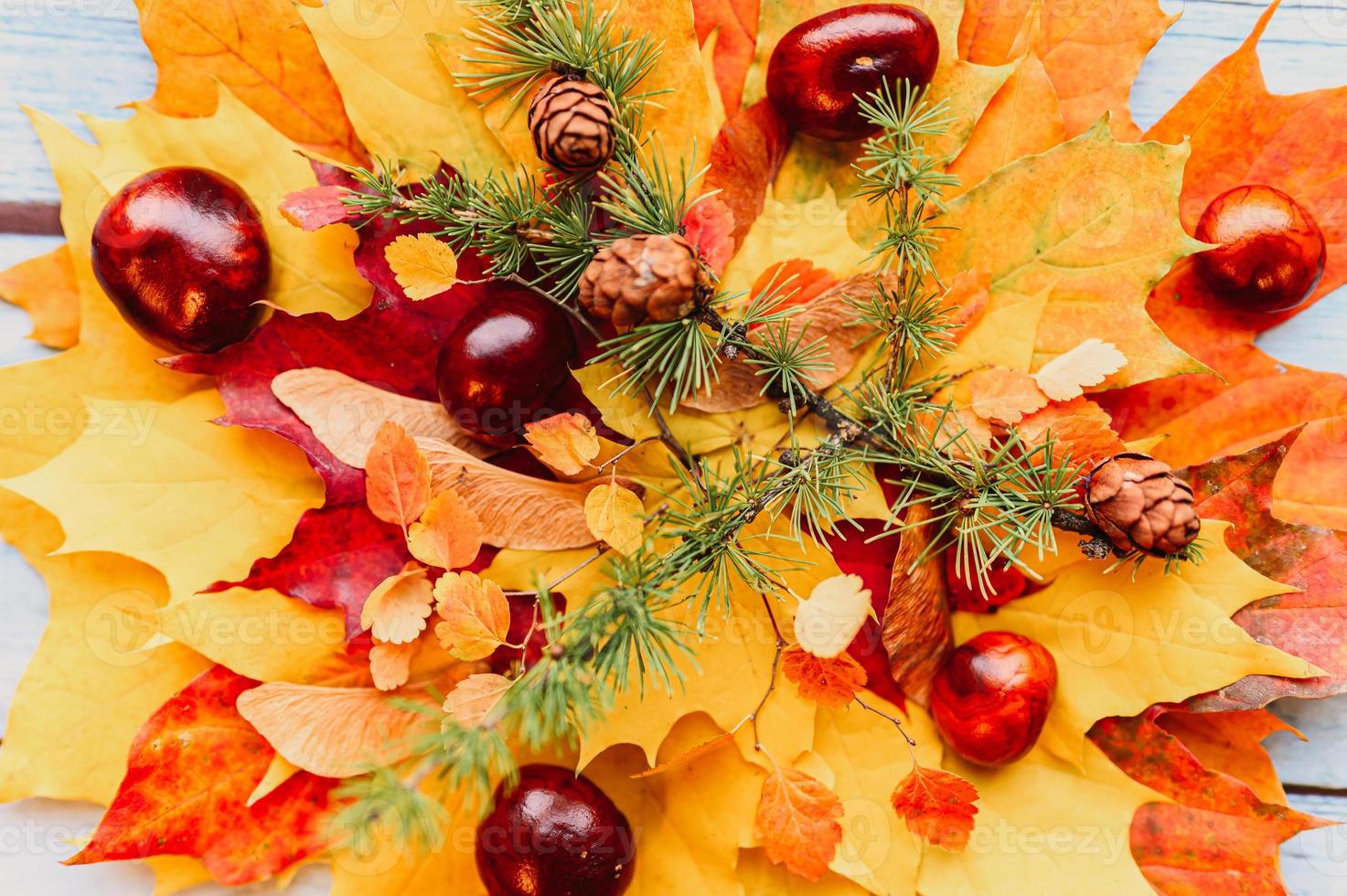 gouden herfst herfstbladeren plat liggend foto