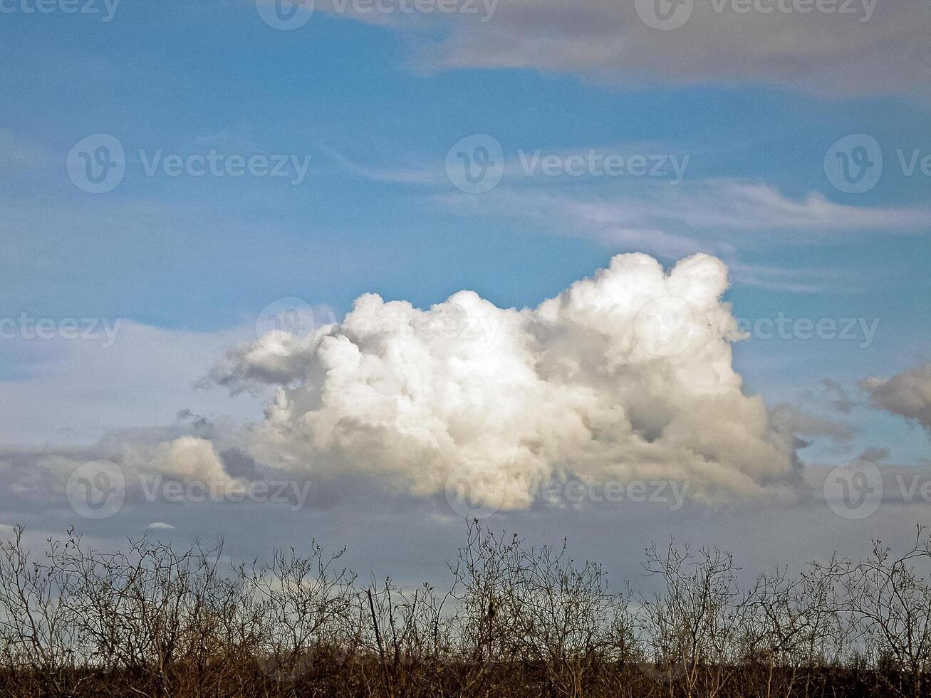 herfst landschap in de Woud en lucht met wolken. foto