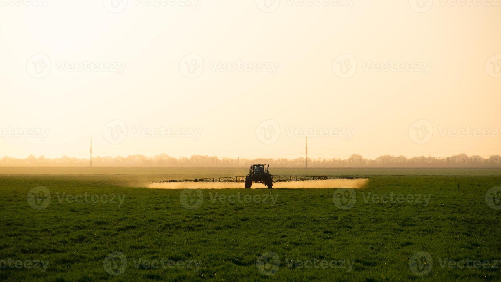 trekker Aan de zonsondergang achtergrond. trekker met hoog wielen is maken kunstmest Aan jong tarwe. foto