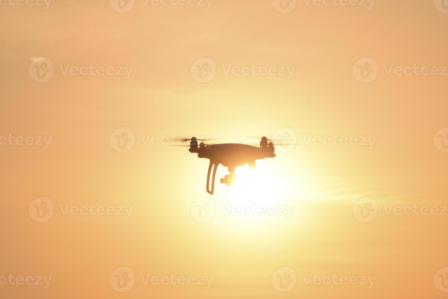 dar silhouet tegen de achtergrond van de zonsondergang foto