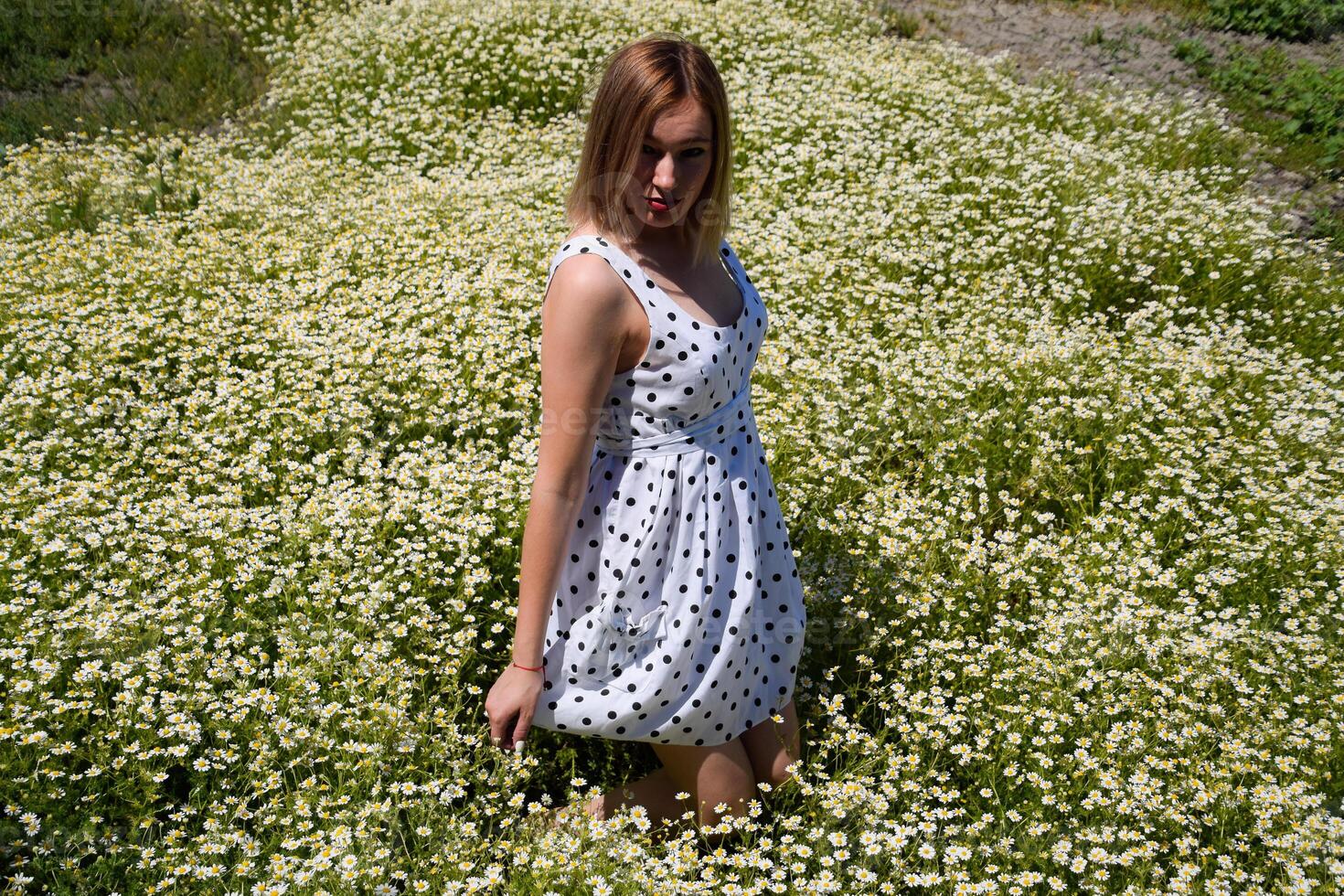 een vrouw in een wit jurk met polka dots is Aan een glade met madeliefjes. bloeiend madeliefjes foto