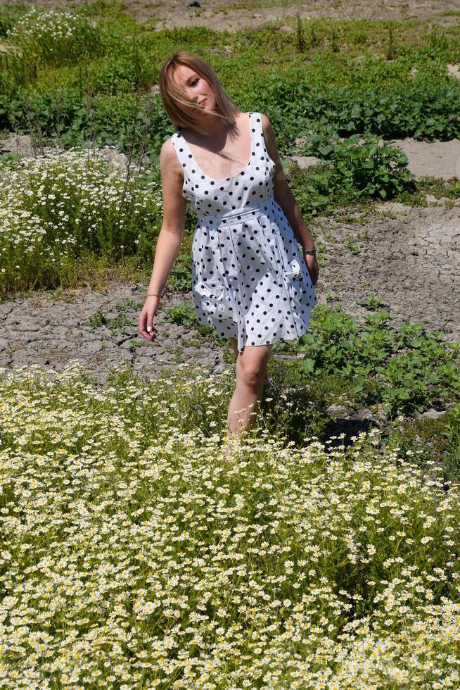 een vrouw in een wit jurk met polka dots is Aan een glade met madeliefjes. bloeiend madeliefjes foto