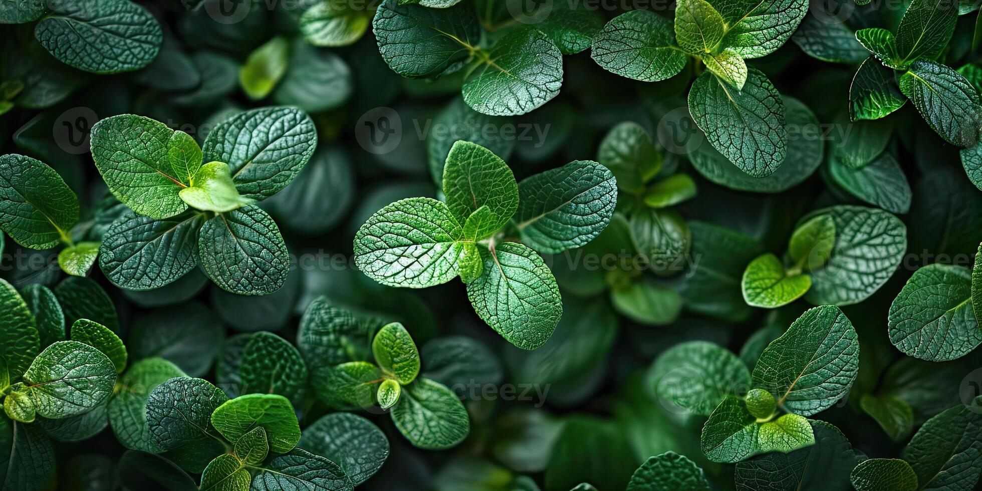 ai gegenereerd bladeren groen achtergrond. abstract voorjaar achtergrond natuurlijk groen blad in de Woud. top visie van groen blad in de tuin. vlak leggen. foto