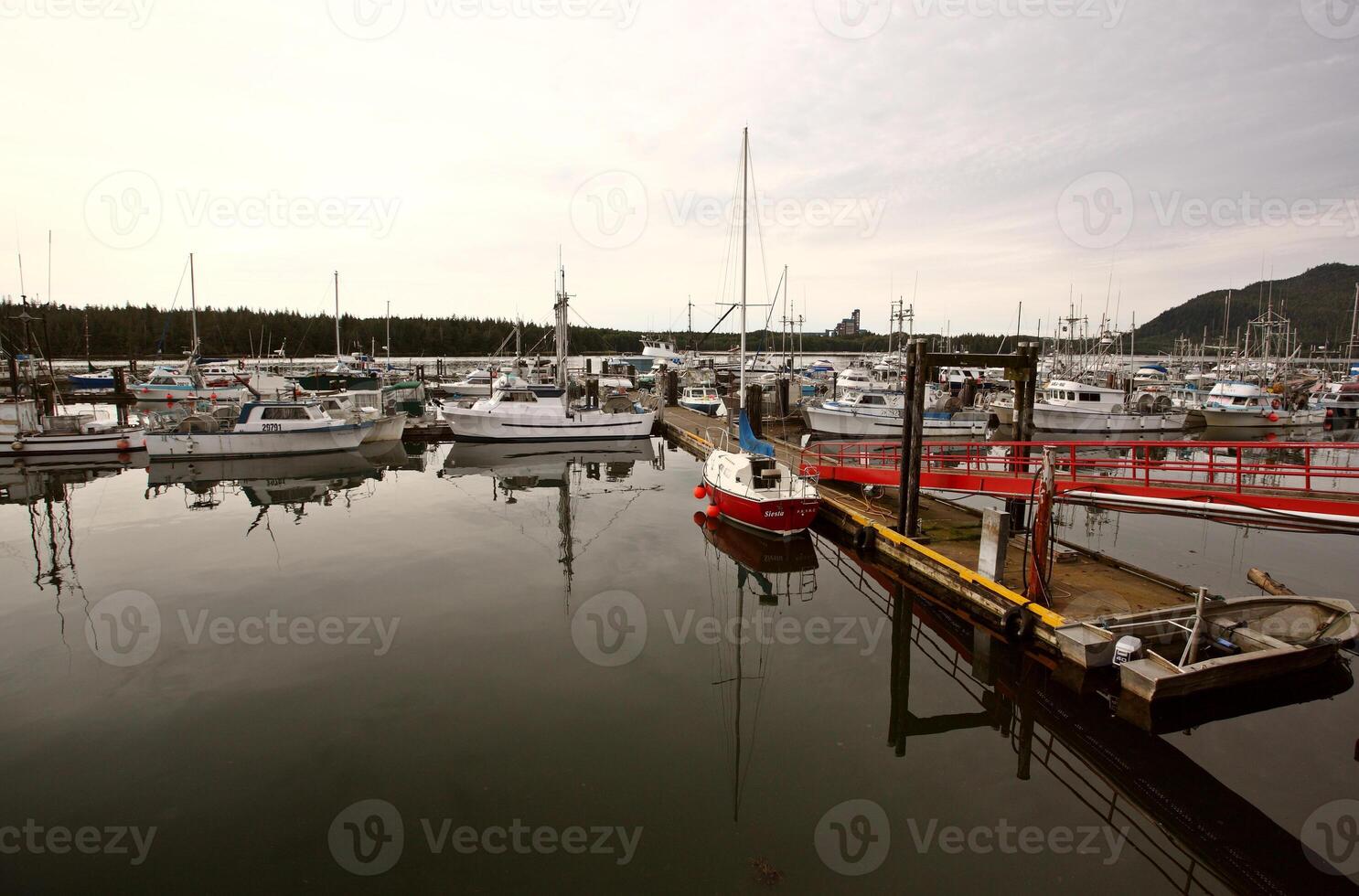 aangemeerd jacht en visvangst boten Bij haven edward, Brits Columbia foto