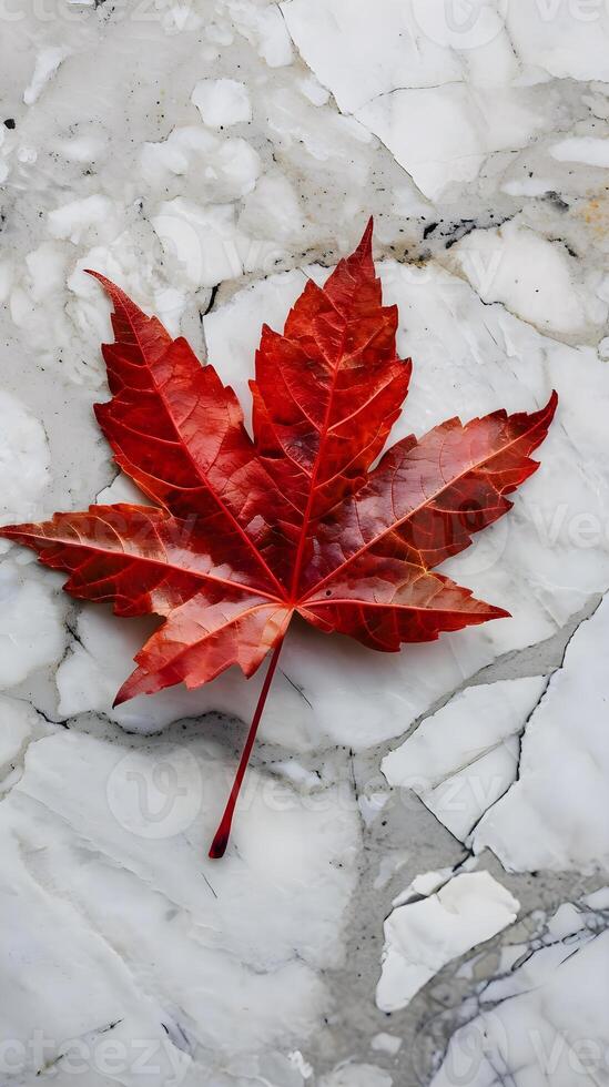 ai gegenereerd een rood esdoorn- blad houdende Aan een marmeren oppervlakte foto