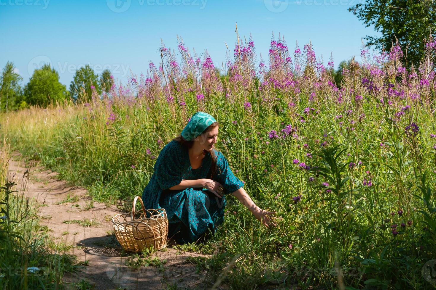 jong vrouw in volk Onderdaan kleren sommige wild planten, bessen of champignons in de weide foto