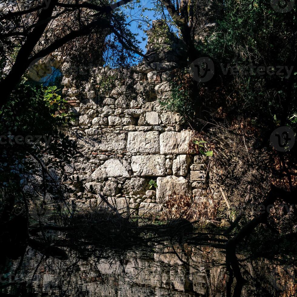 muur van oude ruïnes in de oerwoud door de meer foto