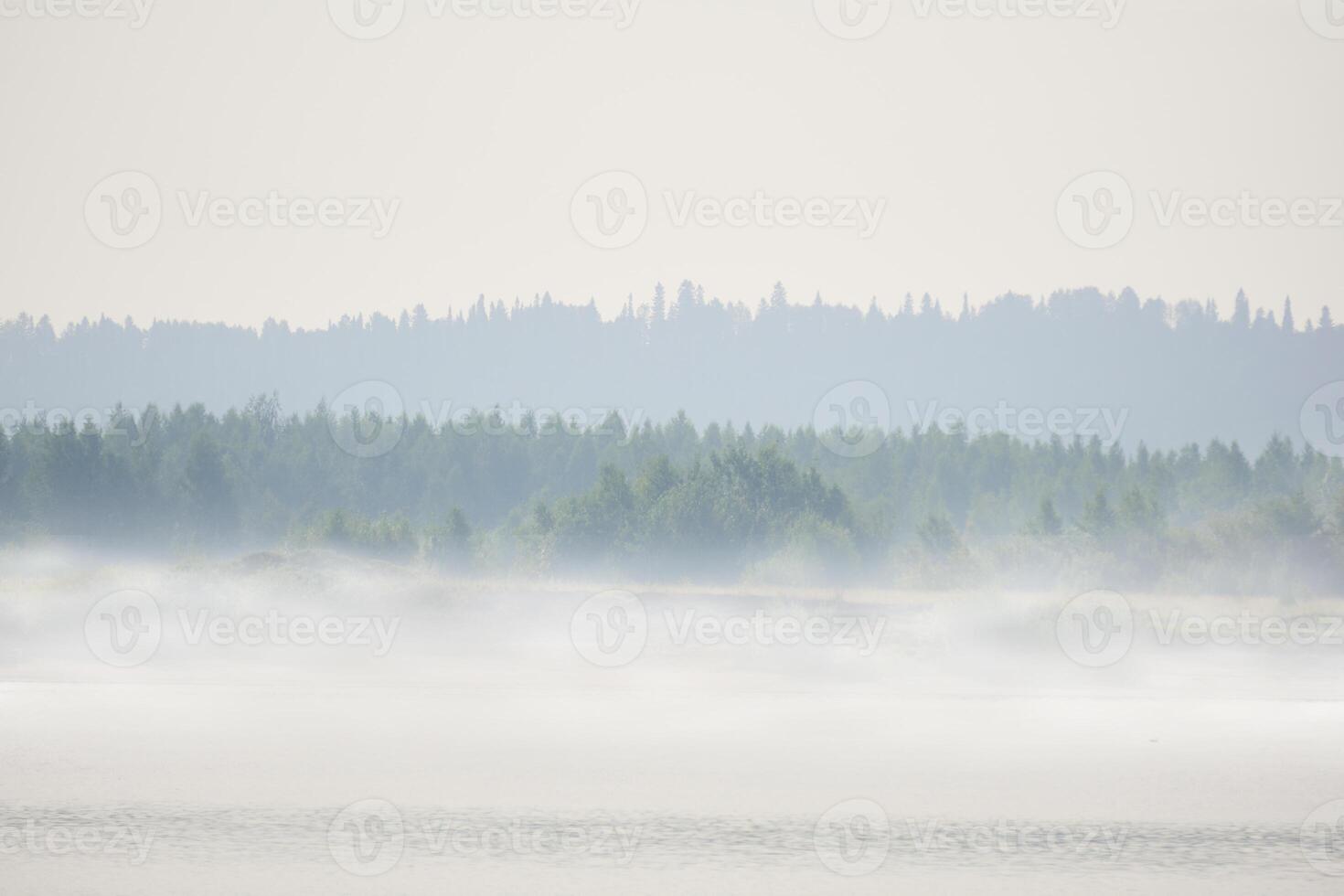 wild rivier- bank met bomen in ochtend- mist foto