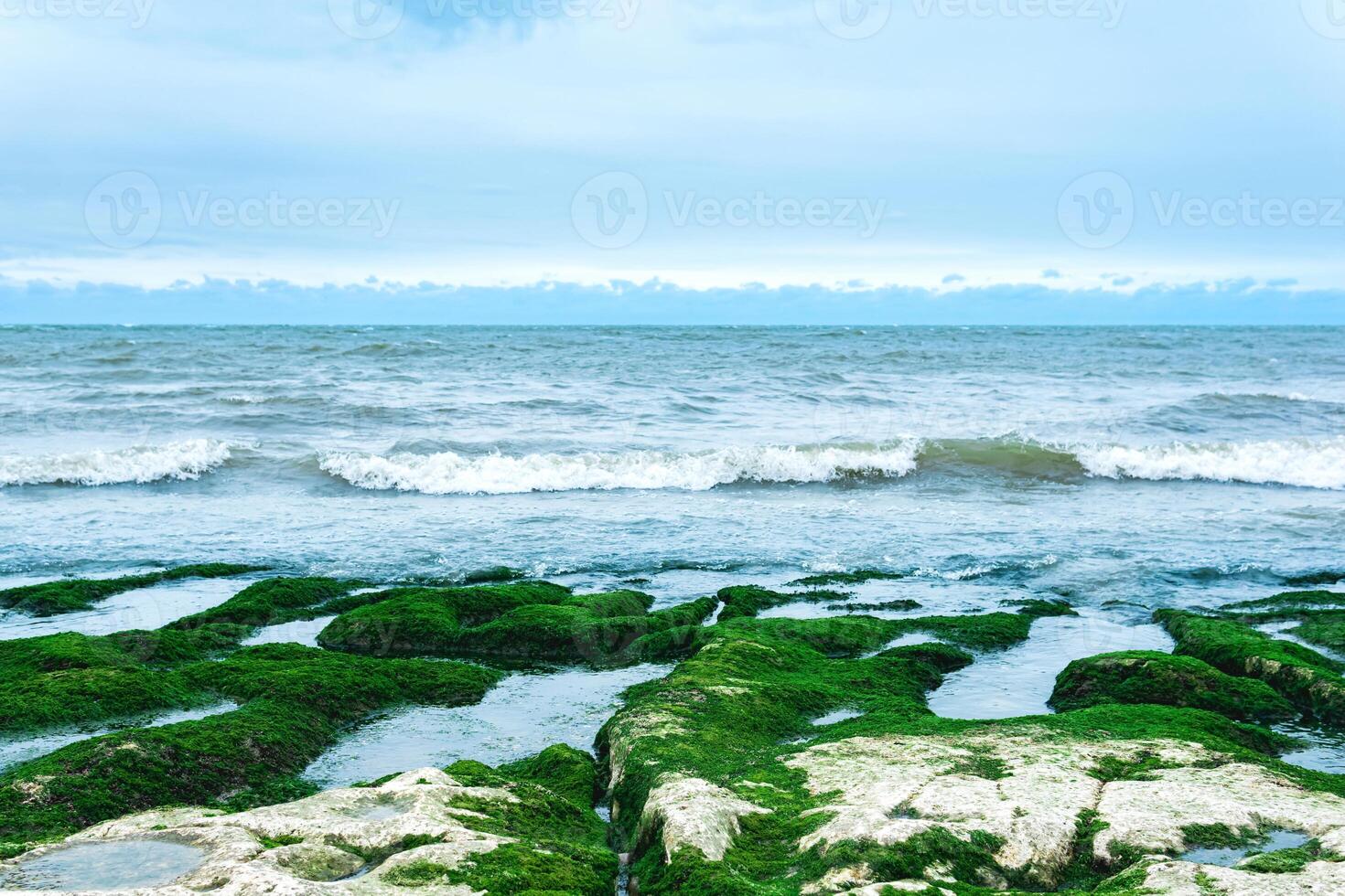 zeegezicht, kust van de Kaspische zee met met algen bedekt kust- stenen foto