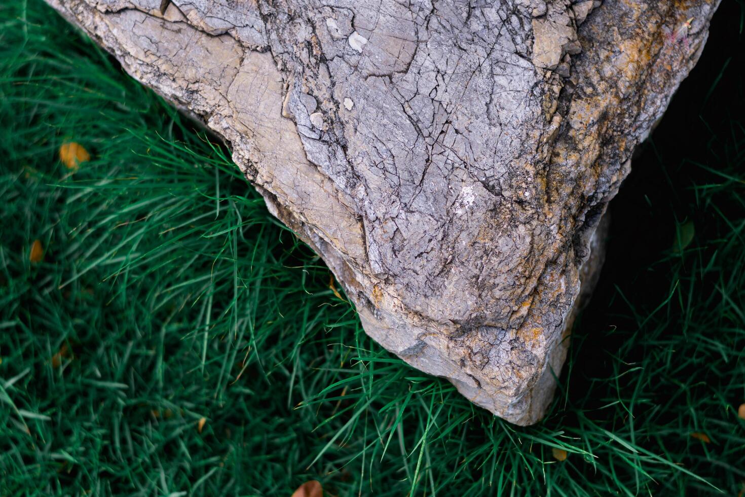 rots en groen gras kan toevoegen een tintje van natuurlijk schoonheid naar ieder buitenshuis ruimte of huis tuin. foto