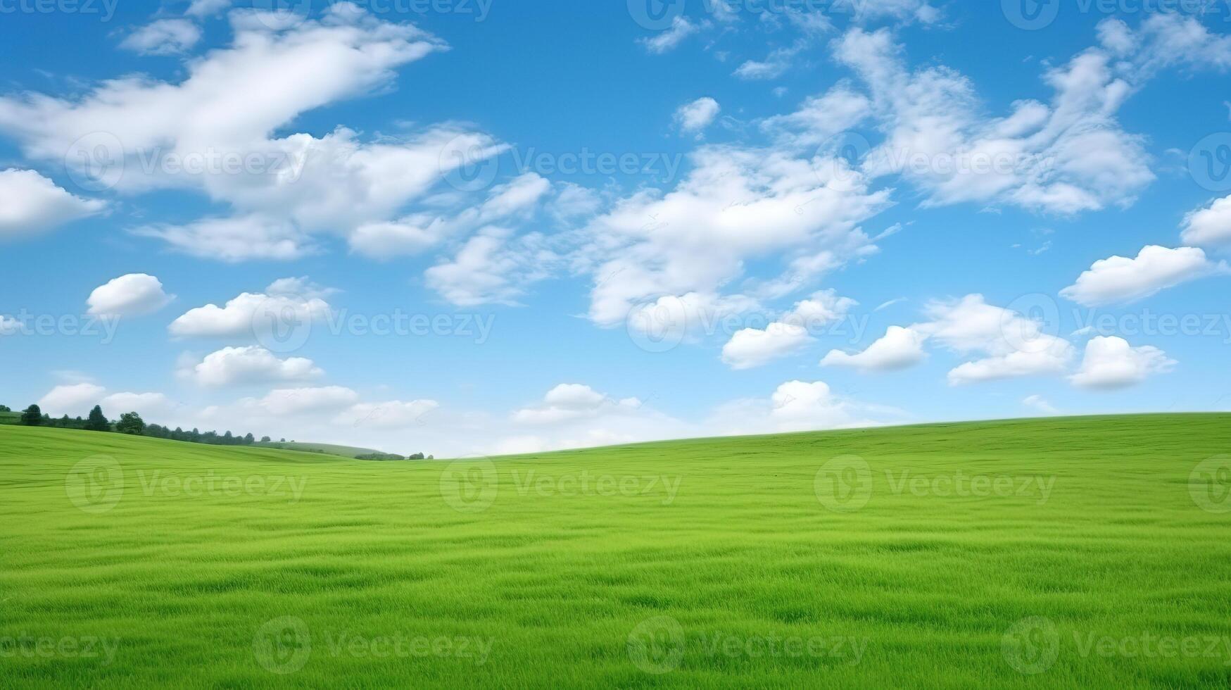 groen veld en blauwe hemel met witte wolken foto