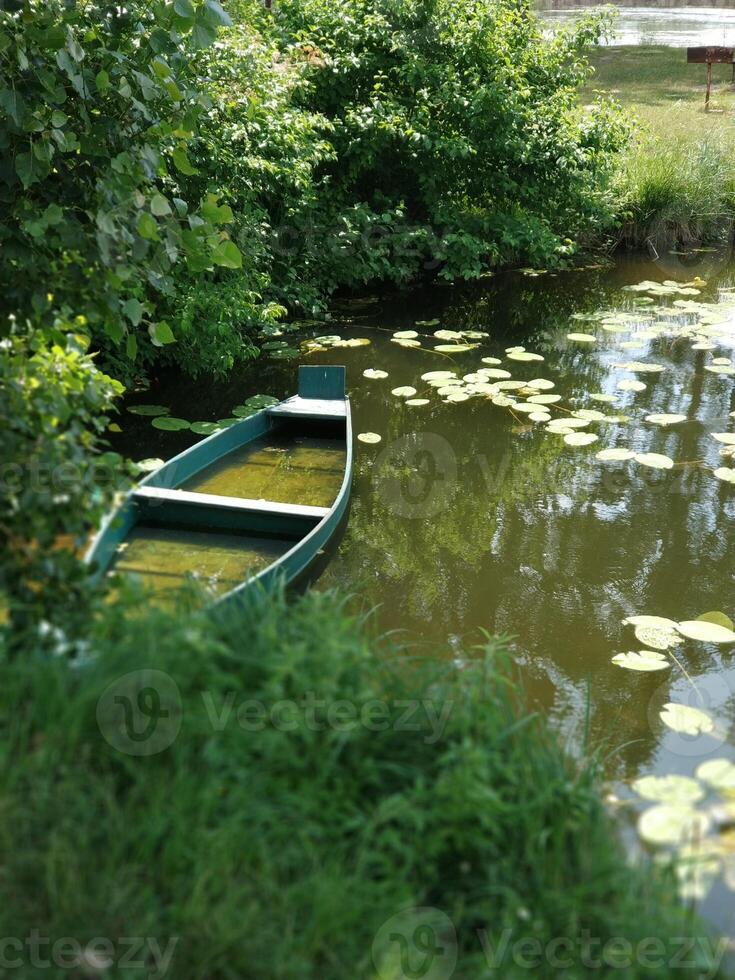 groen landschap met een oud boot in de buurt de kust en groen water lelie bladeren Aan de water foto