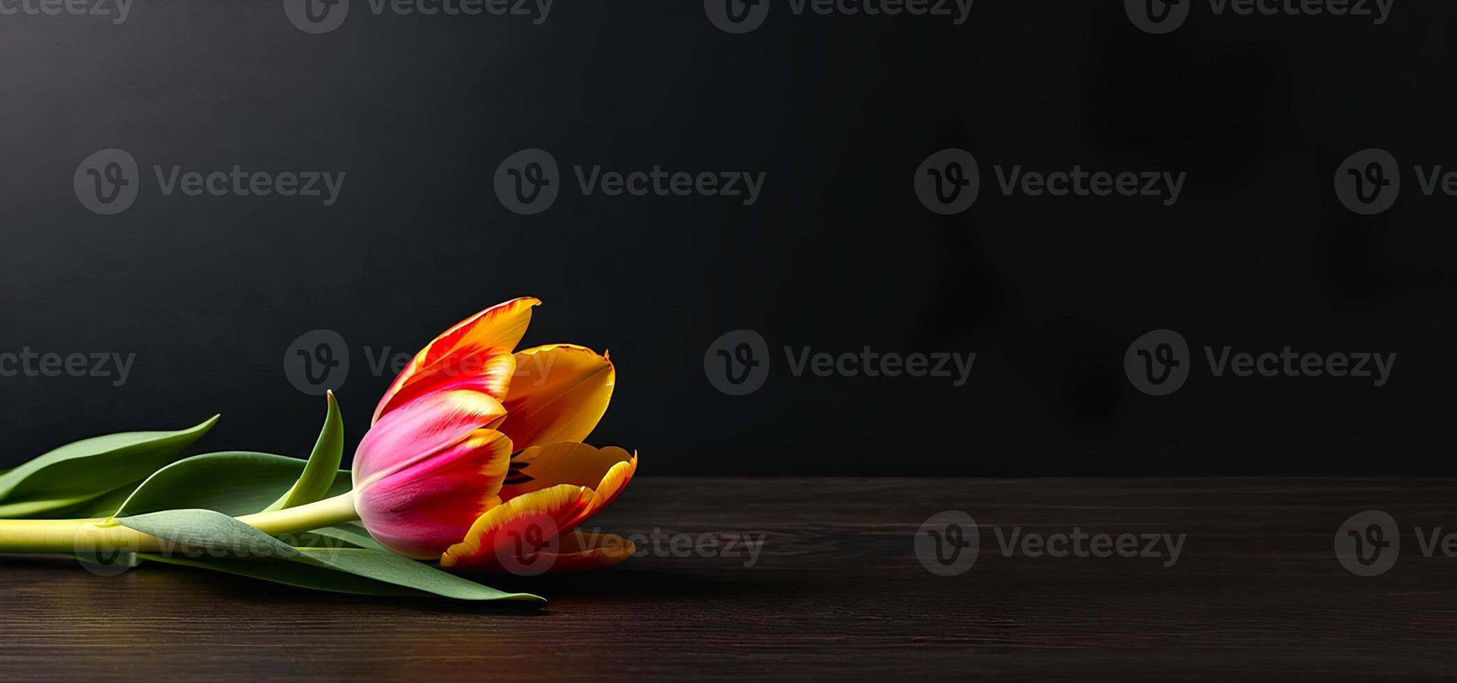 ai gegenereerd mooi tulp bloem is Aan een donker achtergrond gedurende voorjaar foto