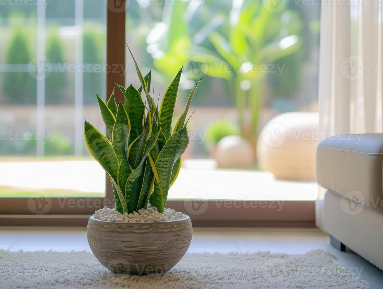 ai gegenereerd sansevieria trifasciata slang fabriek in de venster van een modern huis of appartement interieur foto