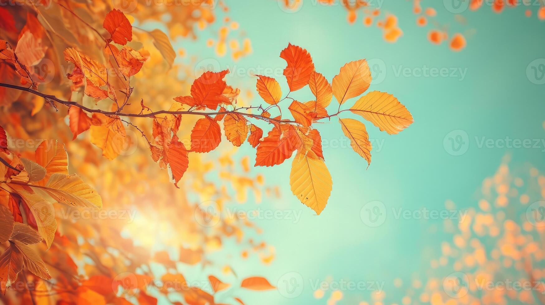 ai gegenereerd kleurrijk gebladerte in de herfst park foto