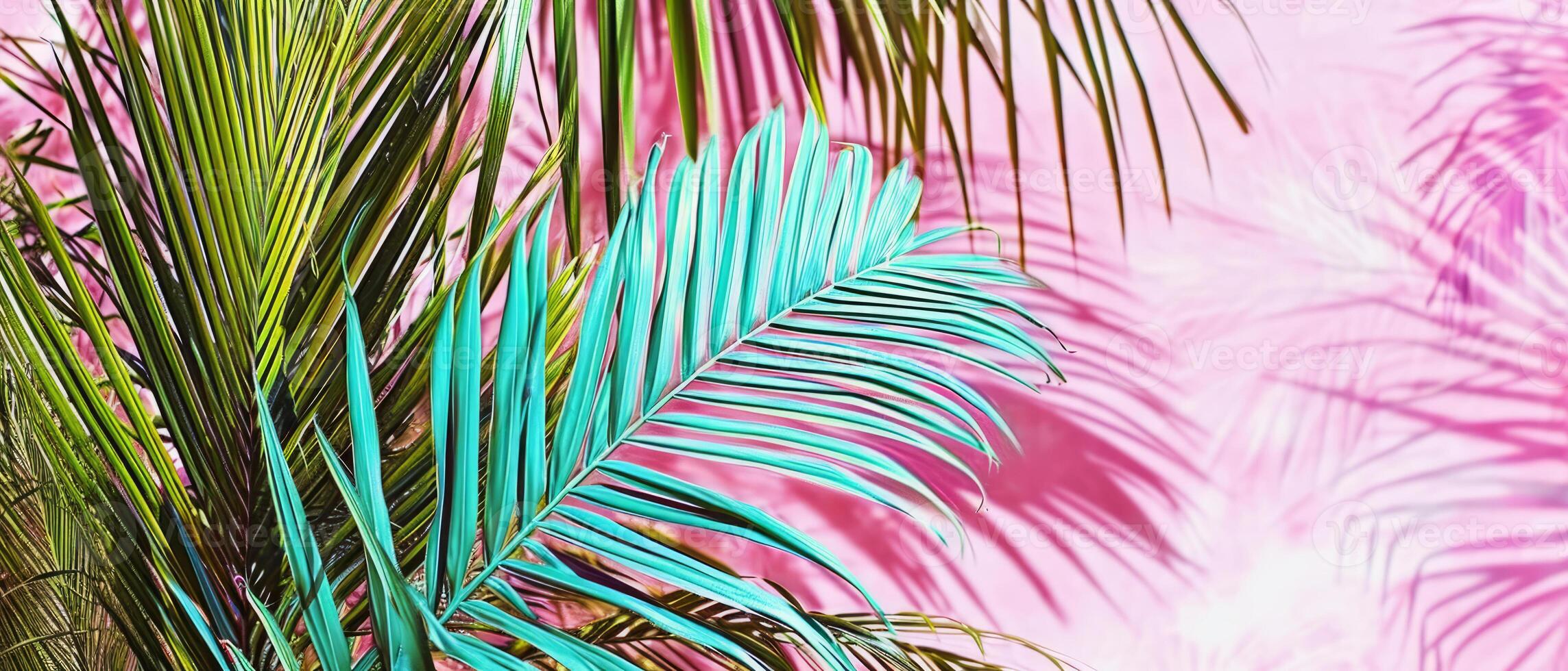 ai gegenereerd weelderig tropisch palm bladeren met taling en natuurlijk groen tonen reeks tegen een levendig roze achtergrond foto