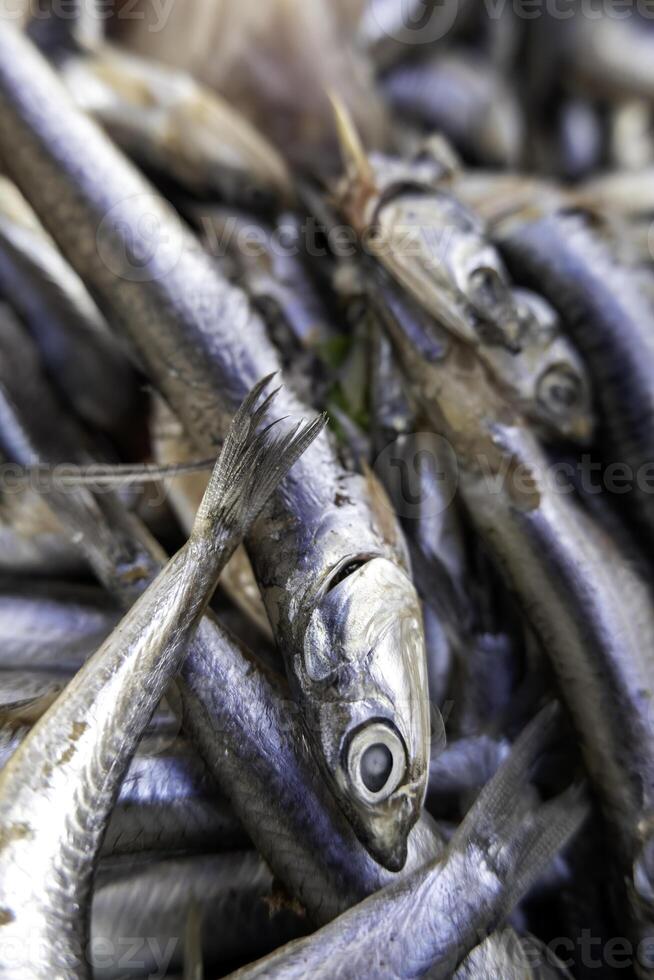 vers sardines Bij een markt foto