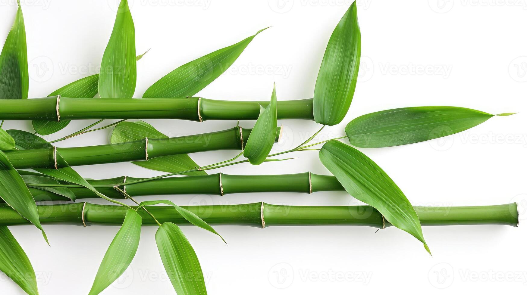 ai gegenereerd groen bamboe met bladeren geïsoleerd Aan wit achtergrond foto