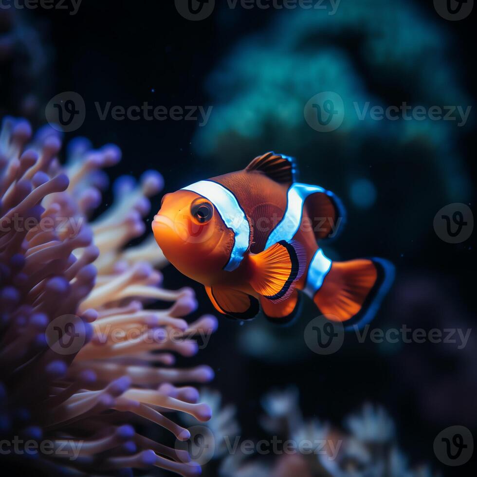 ai gegenereerd een clown vis zwemmen in een aquarium foto