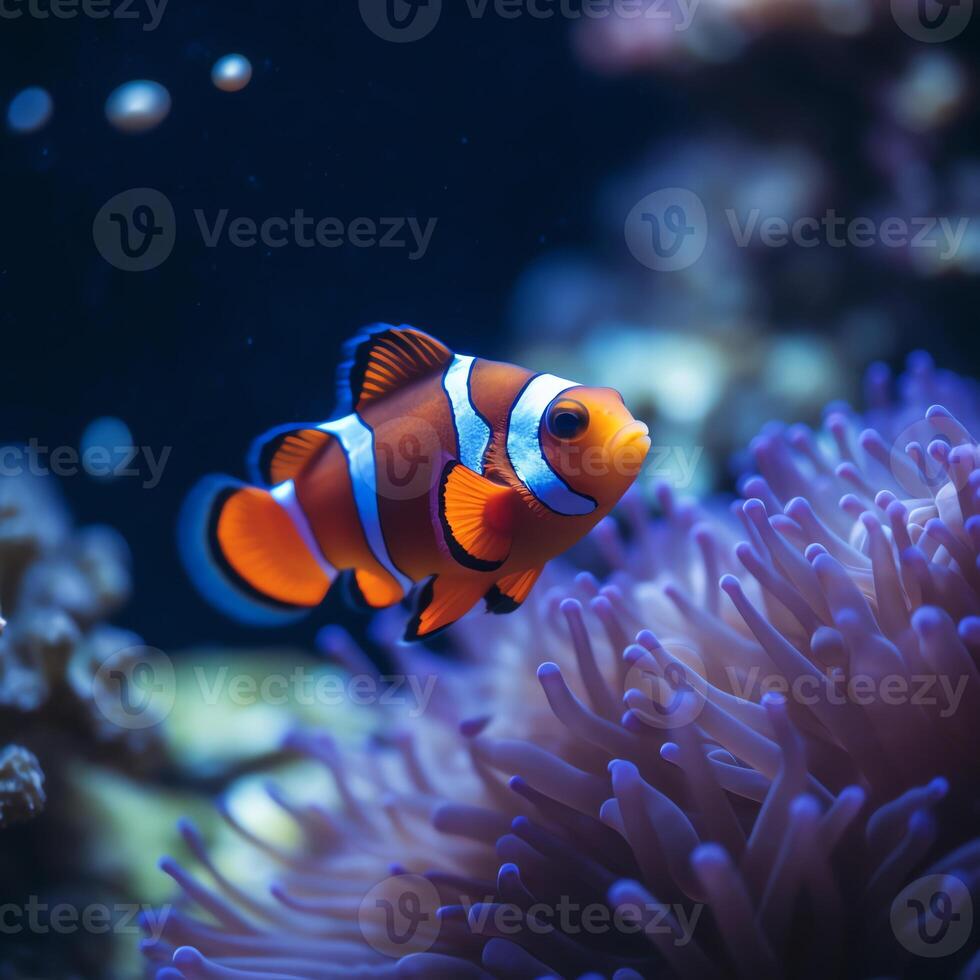 ai gegenereerd een clown vis zwemmen in een aquarium foto