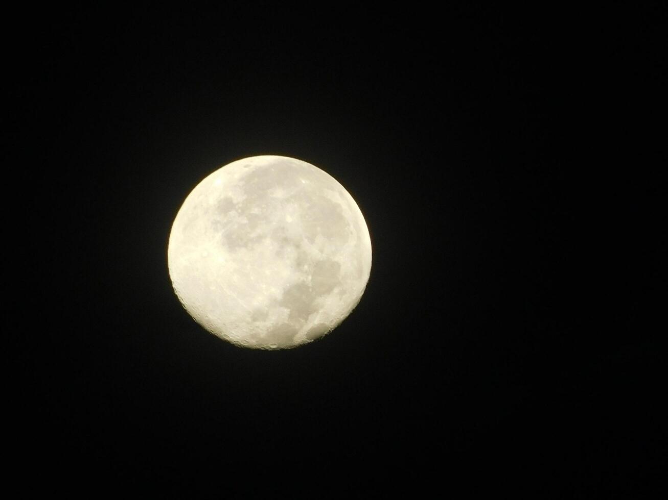 vol maan potrait Bij nacht foto