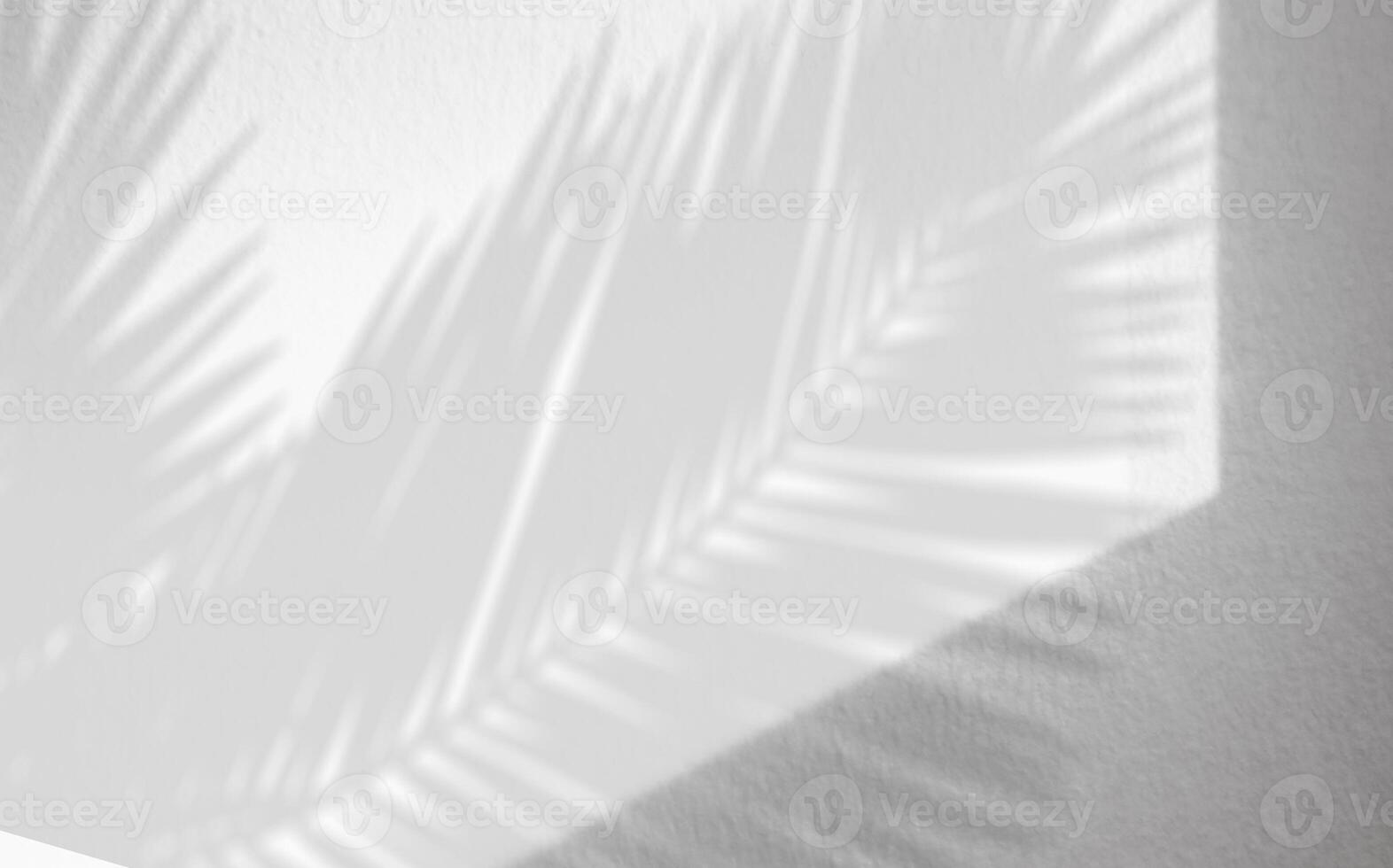 wit studio achtergrond met palm bladeren schaduw met licht Aan grijs beton muur textuur, leeg keuken kamer met tropisch blad reflectie Aan cement top tafel, achtergrond Scherm voor Product presentatie foto