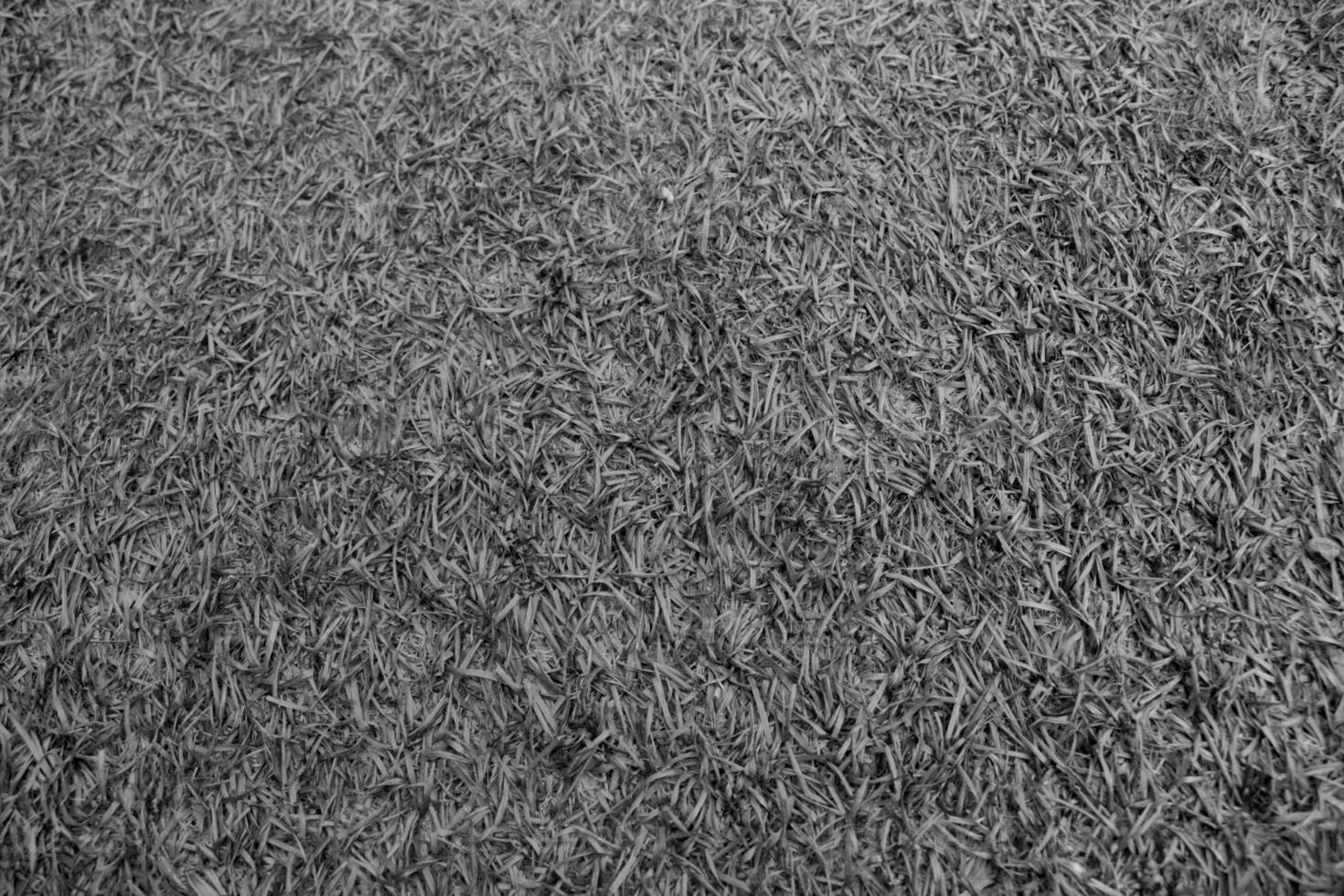 grunge structuur van synthetisch gras foto