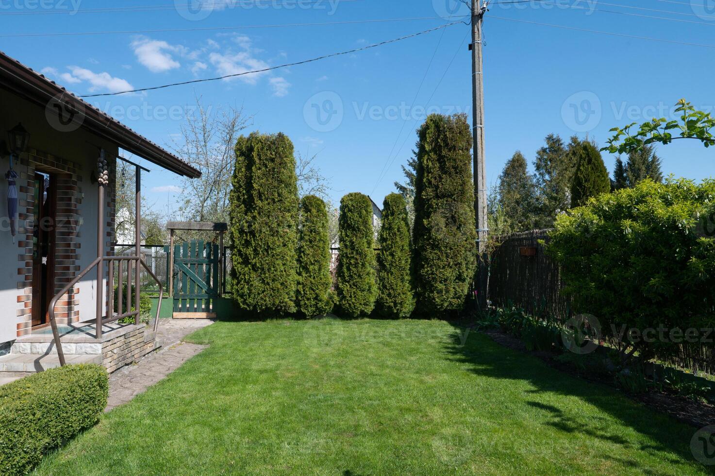 groen gazon in de werf van een dorp huis. groen hek gemaakt van naald- bomen. huis tuin zorg foto