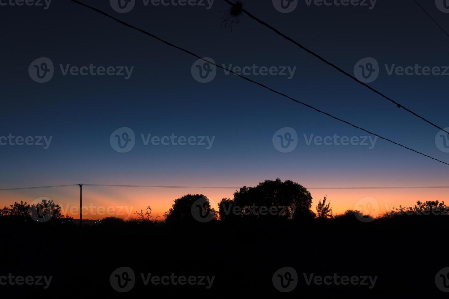 mooi zonsondergang met schaduw van bomen en elektriciteit kabels. foto