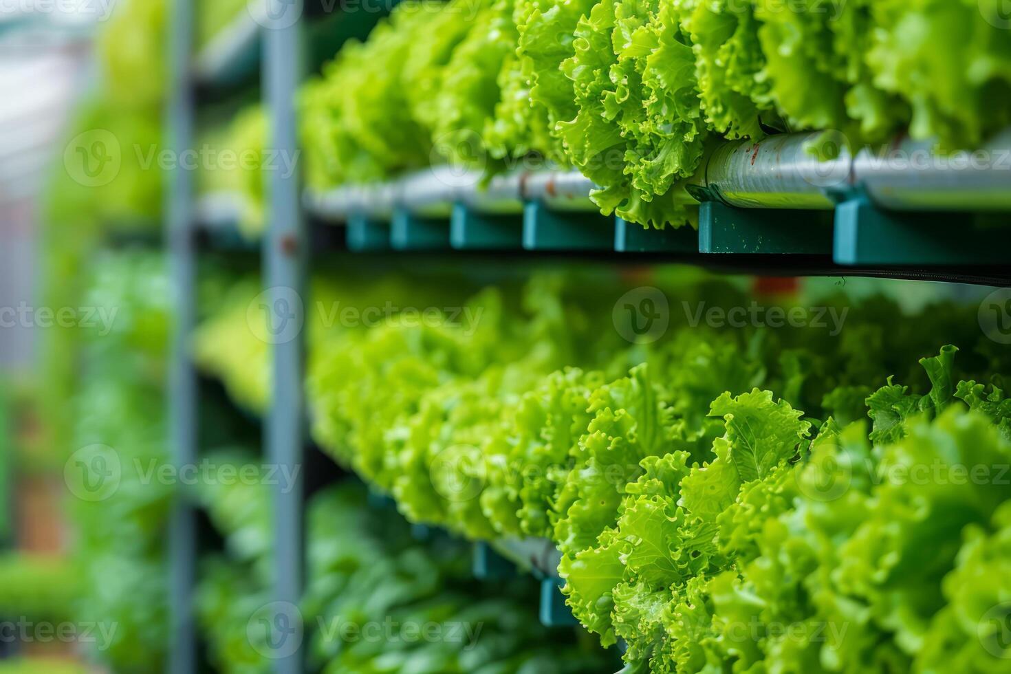 ai gegenereerd verticaal landbouw en hydrocultuur. vers biologisch groente gegroeid gebruik makend van aquaponics landbouw. generatief ai foto