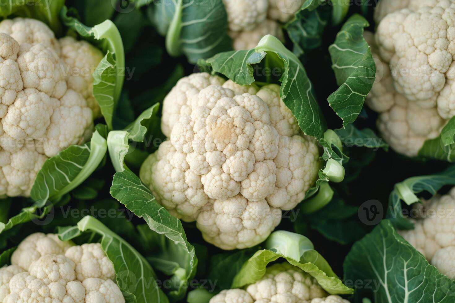 ai gegenereerd structuur achtergrond van vers biologisch bloemkool. generatief ai foto